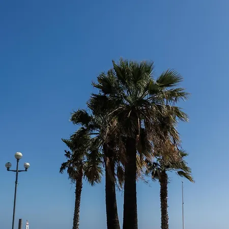 3 Pieces Promenade Daire *